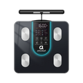 Segmental Smart Scale CS10K