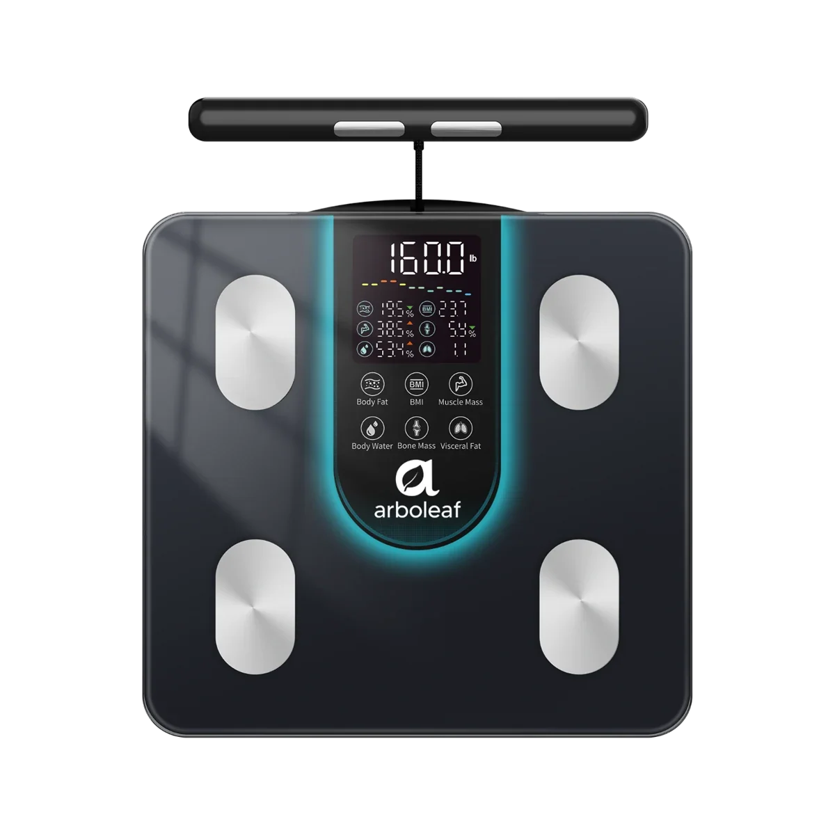 Segmental Smart Scale CS10K