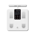 Segmental Smart Scale CS10E