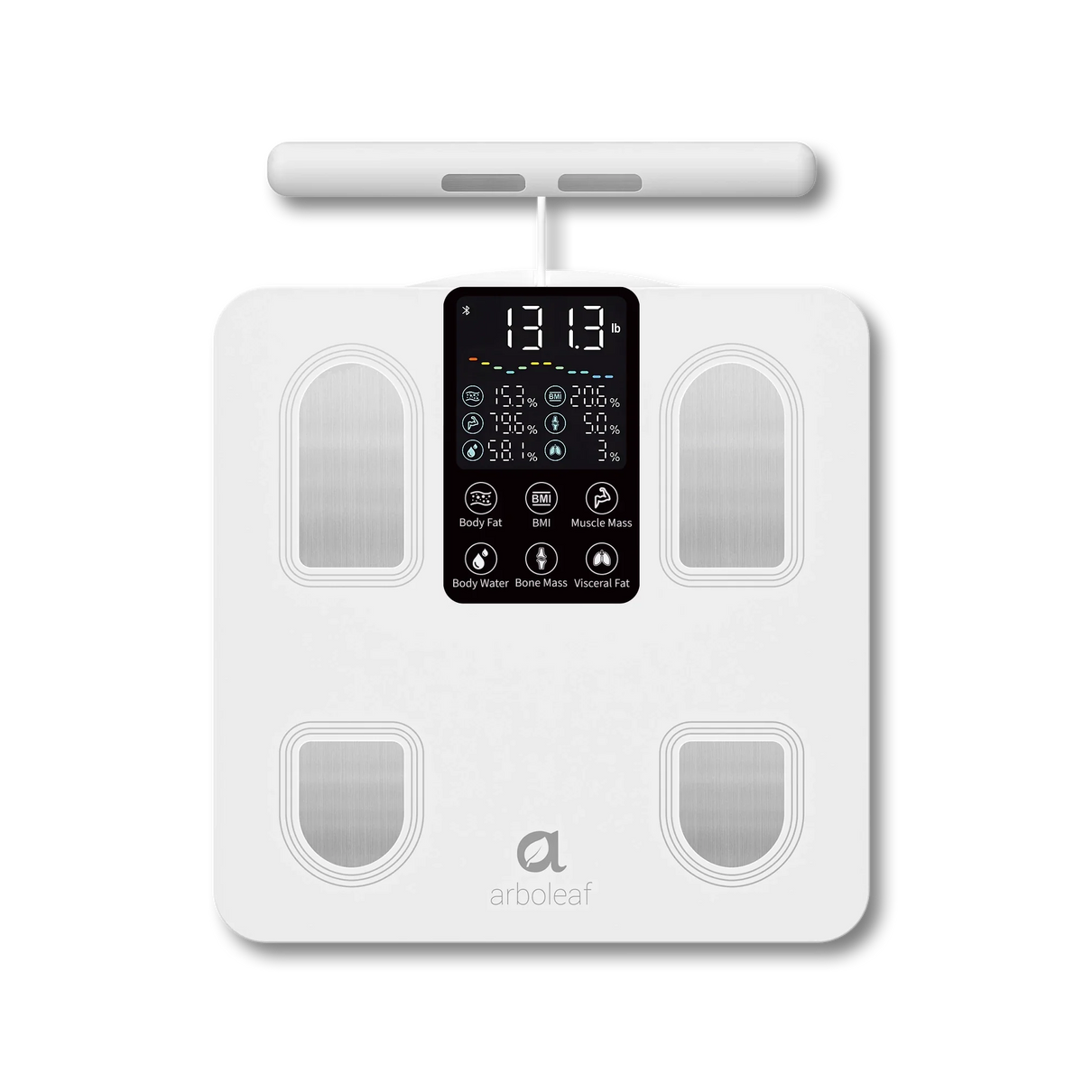 Segmental Smart Scale CS10E