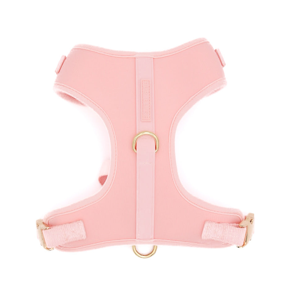 Fur Elise Essentials Walk Set - Rose