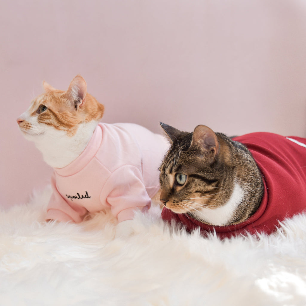 Fur Elise Mock Neck Shirt - Blush