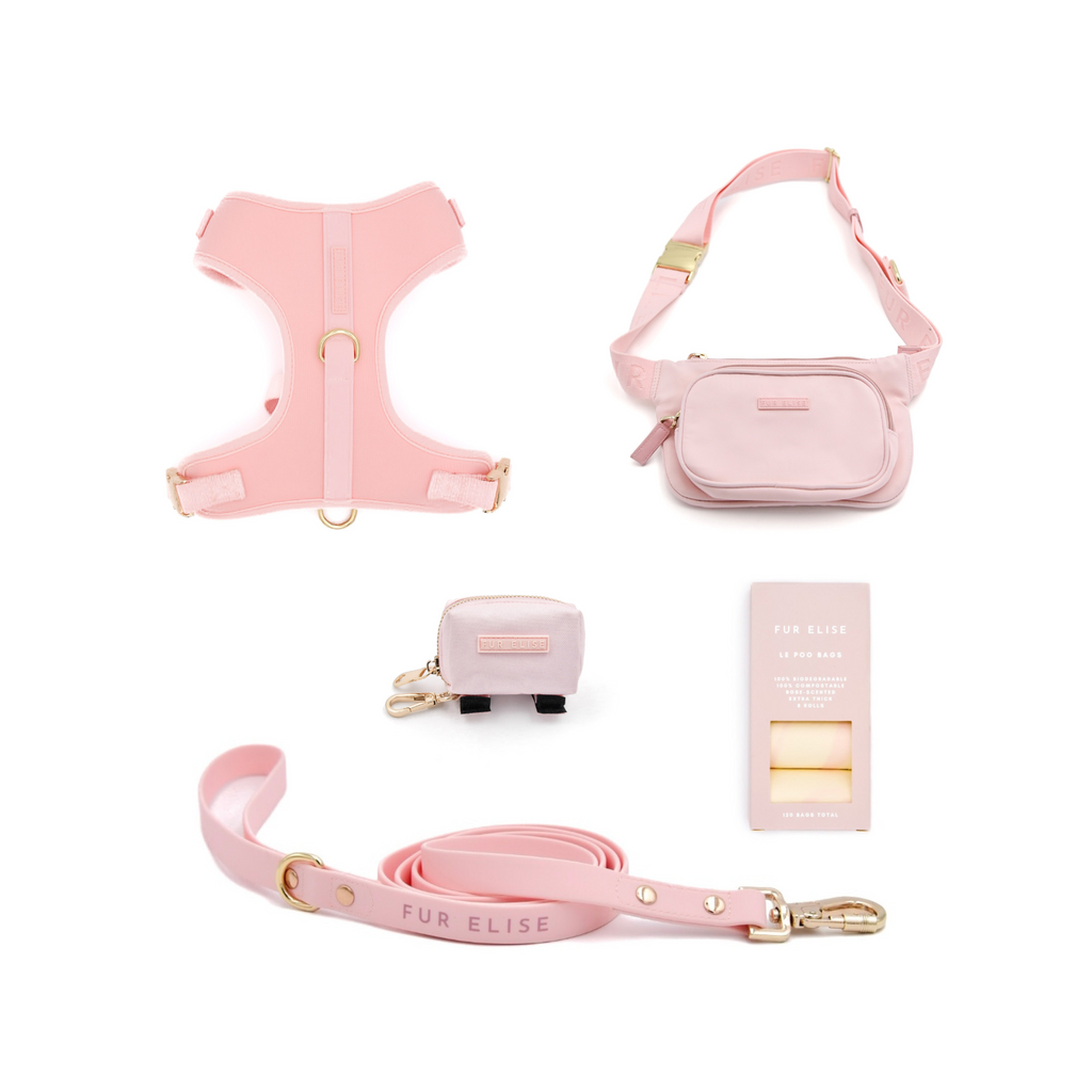 Fur Elise On-the-Go Walk Set - Rose
