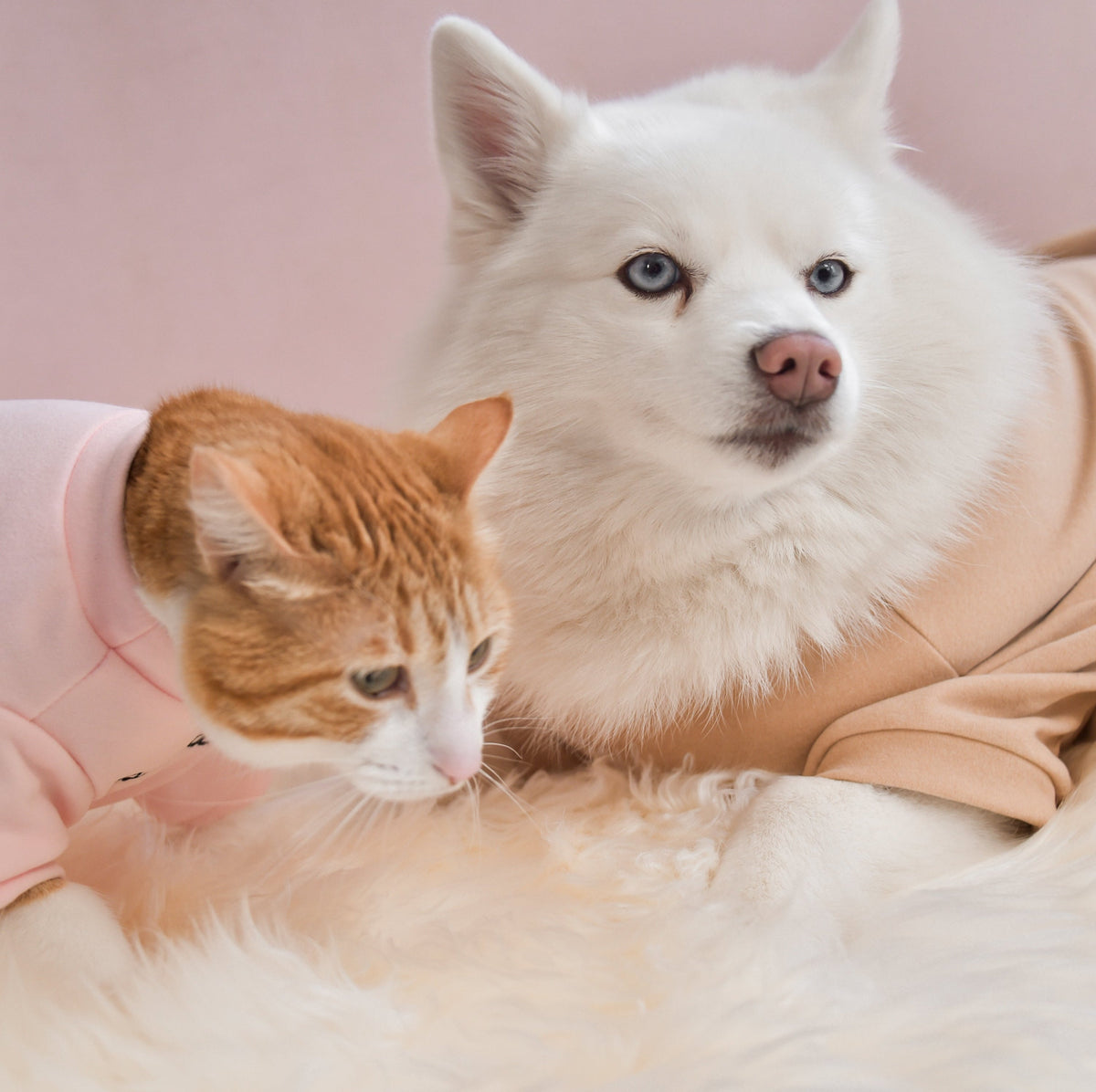 Fur Elise Mock Neck Shirt - Blush