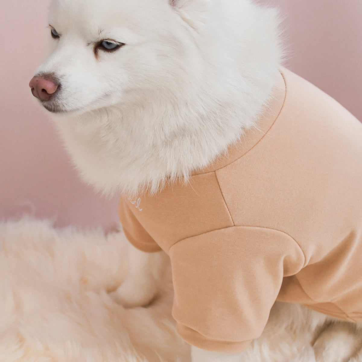 Fur Elise Mock Neck Shirt - Latte