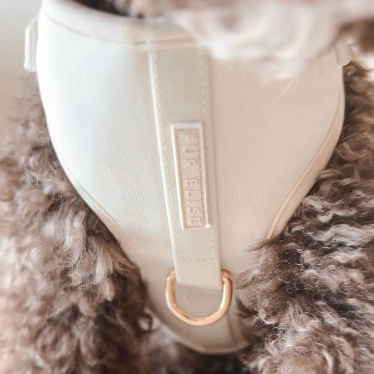 Fur Elise Essentials Walk Set - Bone