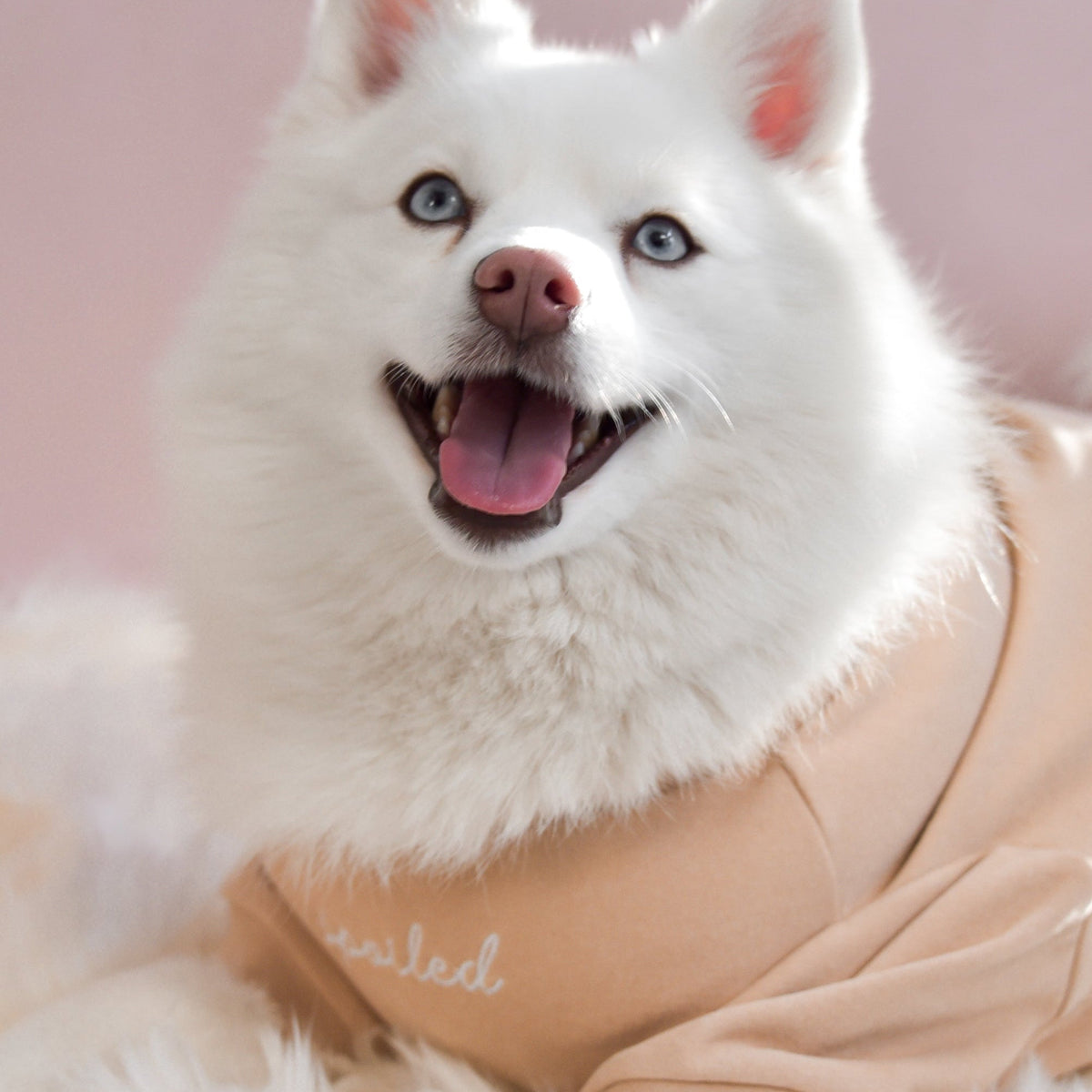 Fur Elise Mock Neck Shirt - Latte