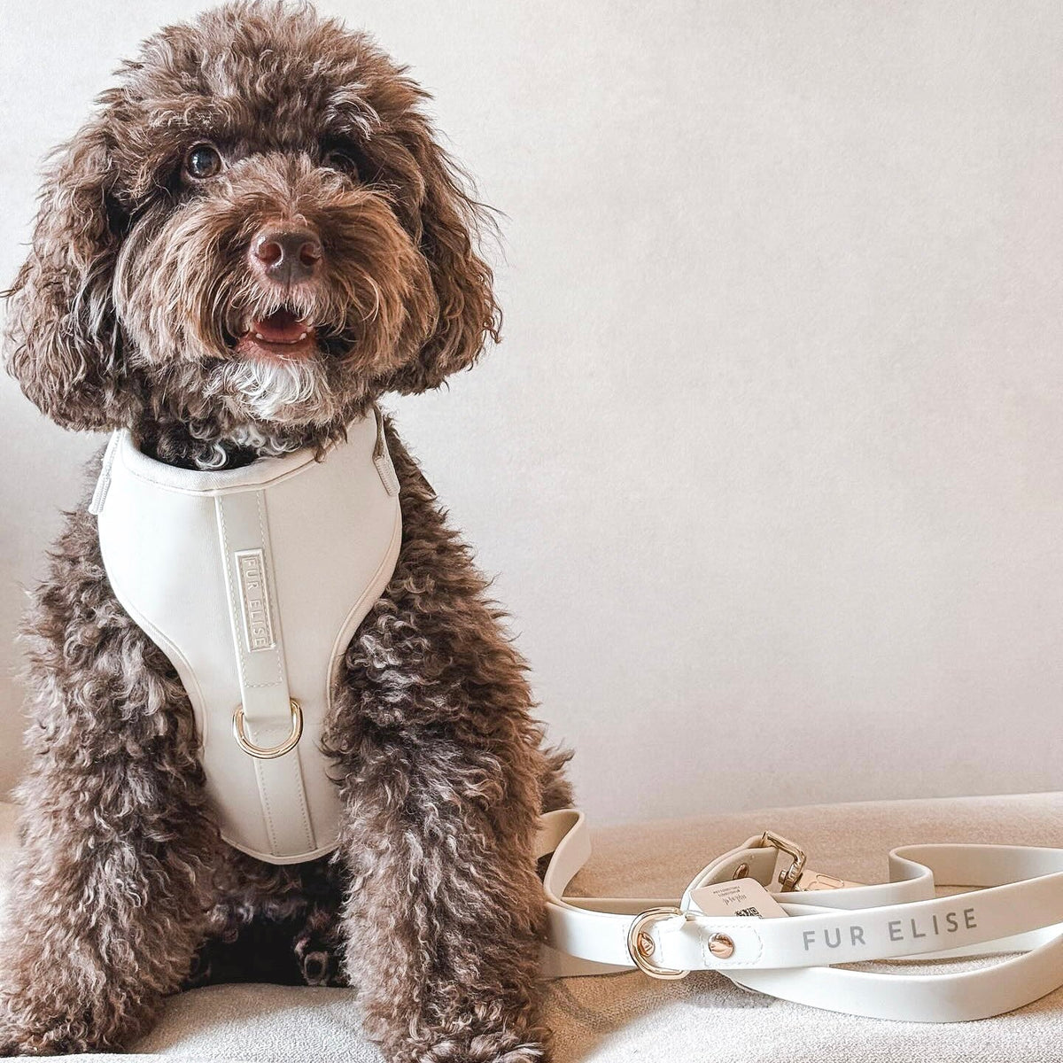 Fur Elise Essentials Walk Set - Bone