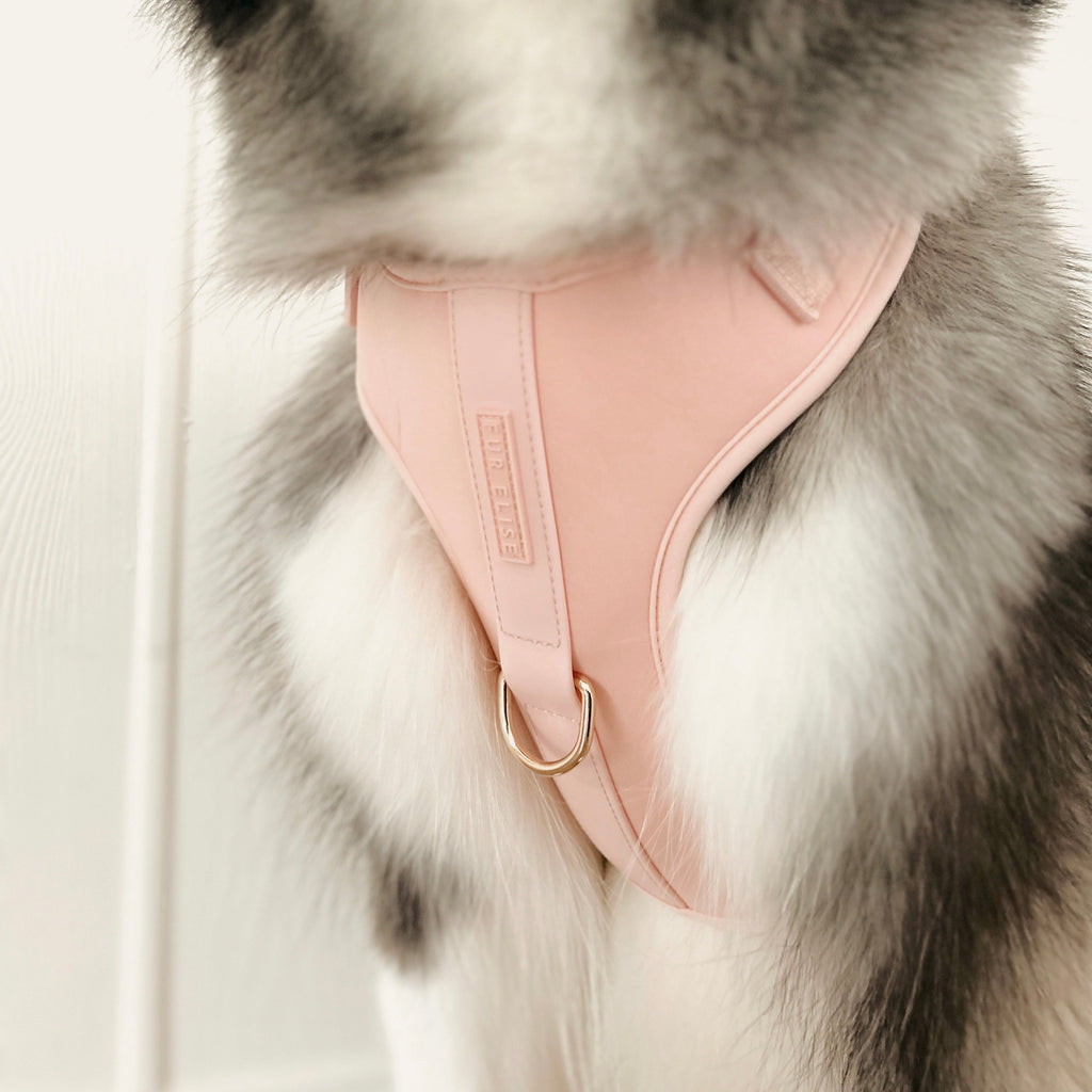 Fur Elise On-the-Go Walk Set - Rose