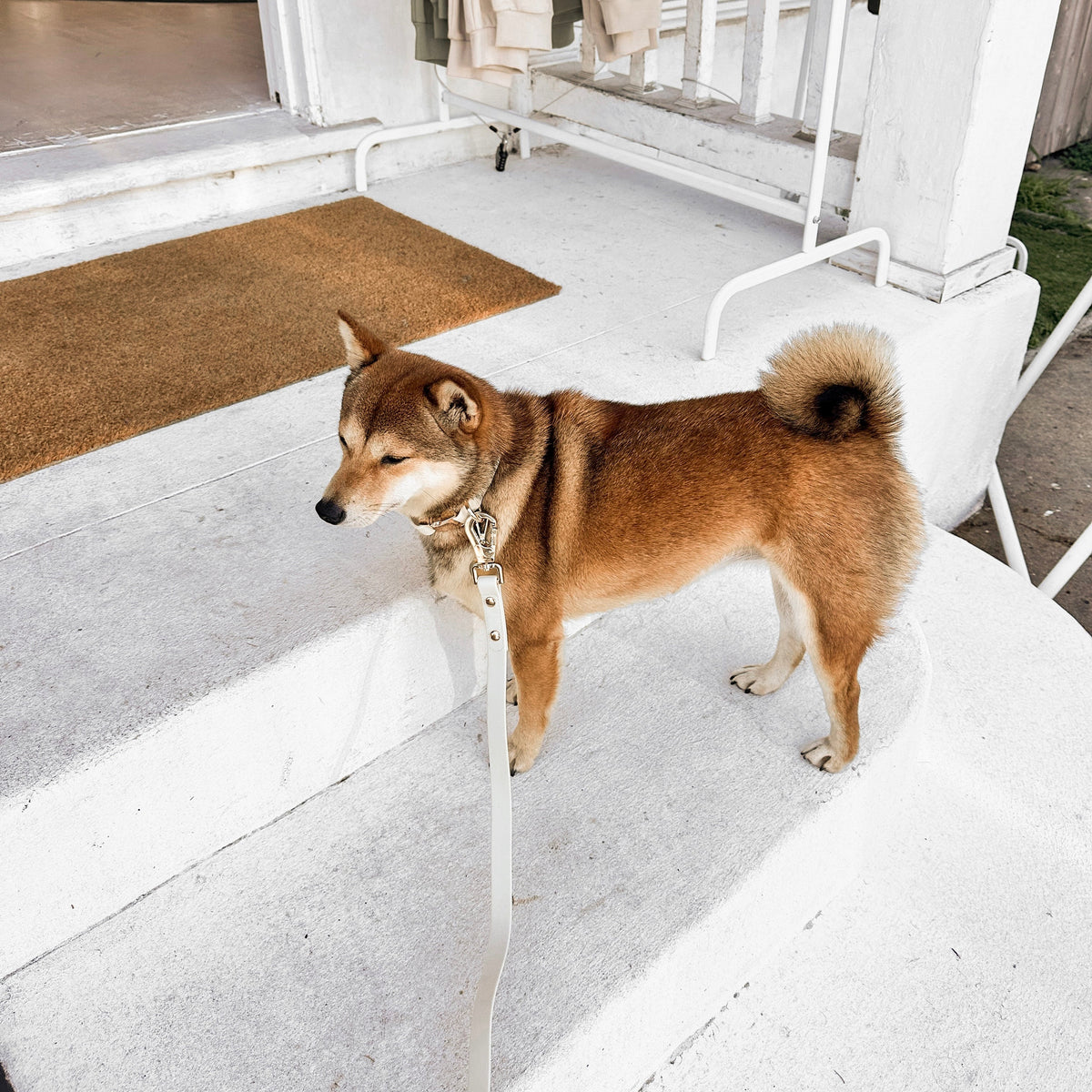 Fur Elise Essentials Walk Set - Bone