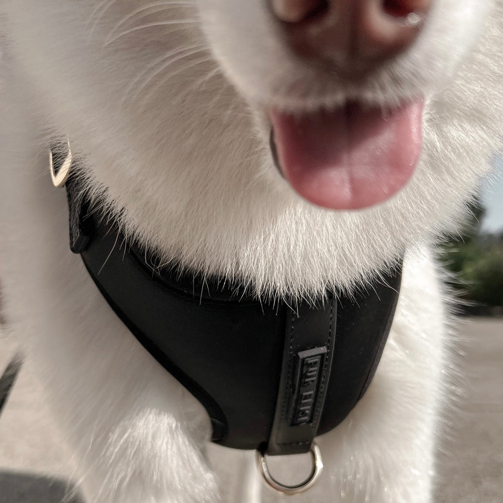 Fur Elise On-the-Go Walk Set - Noir