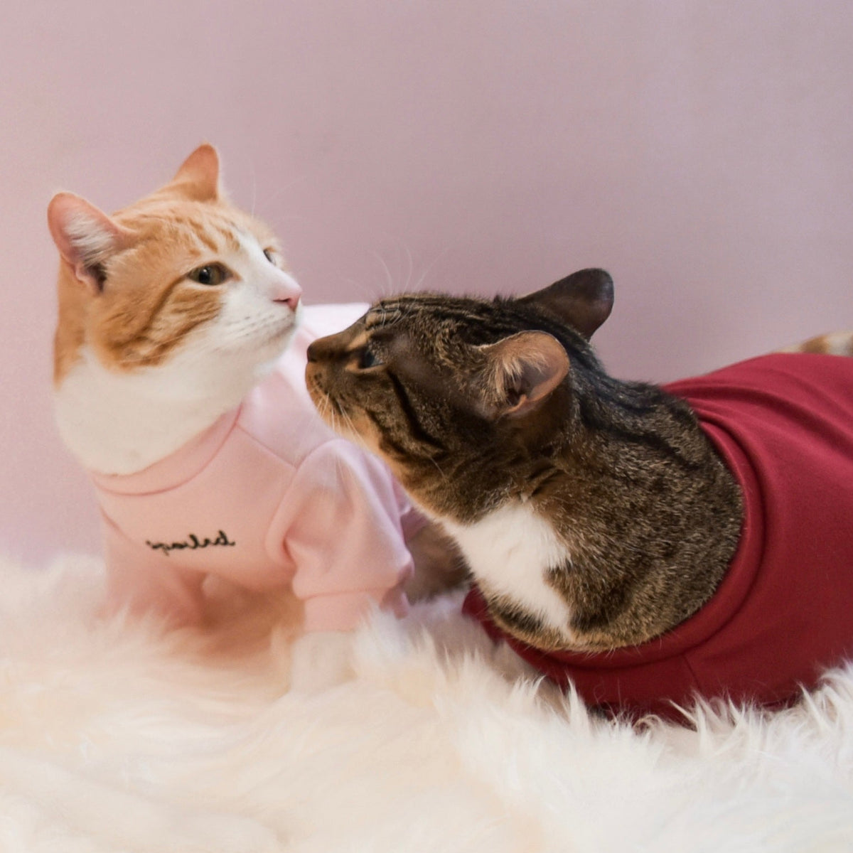 Fur Elise Mock Neck Shirt - Blush