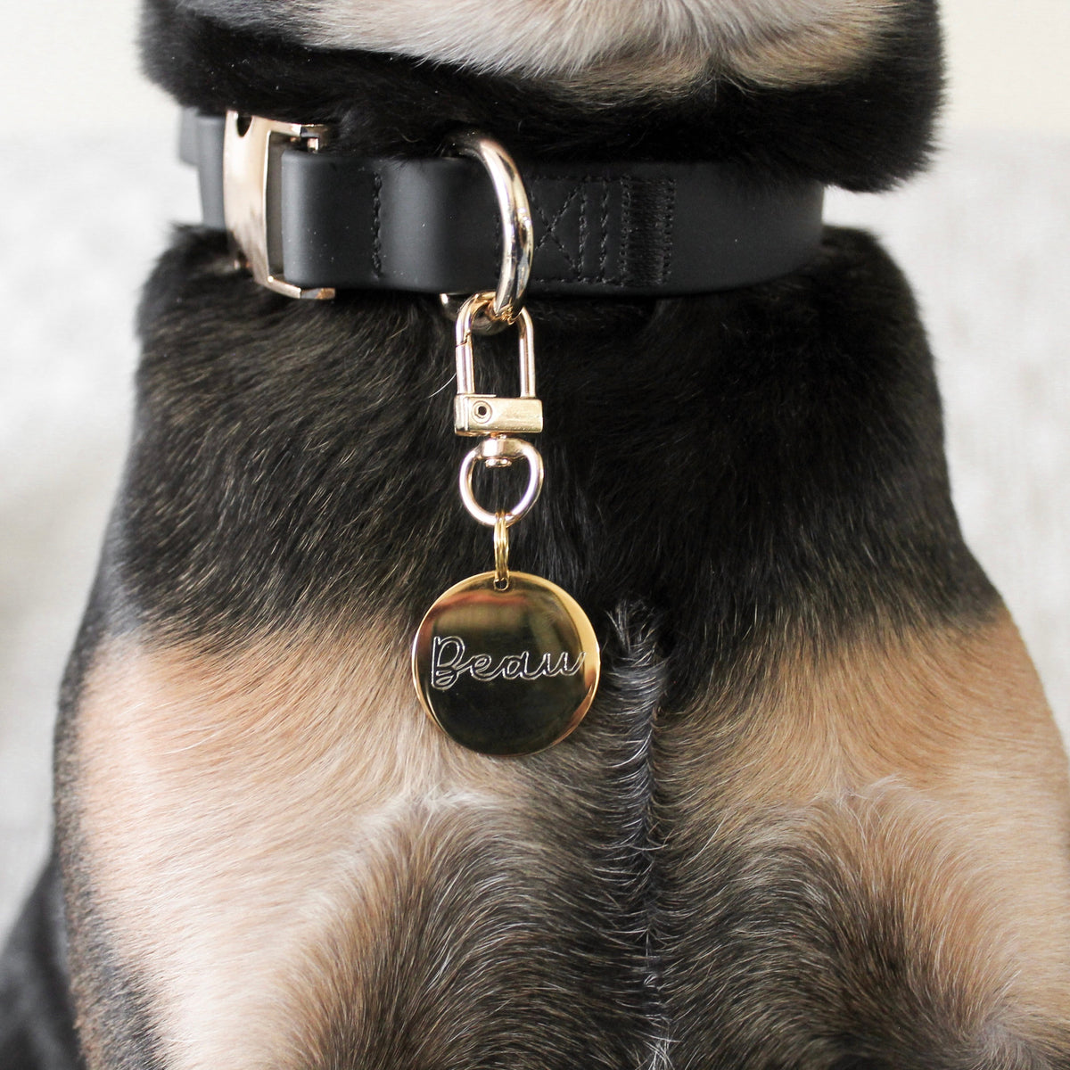 Fur Elise Essentials Walk Set - Noir