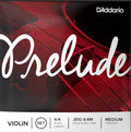 Violin Strings - Prelude