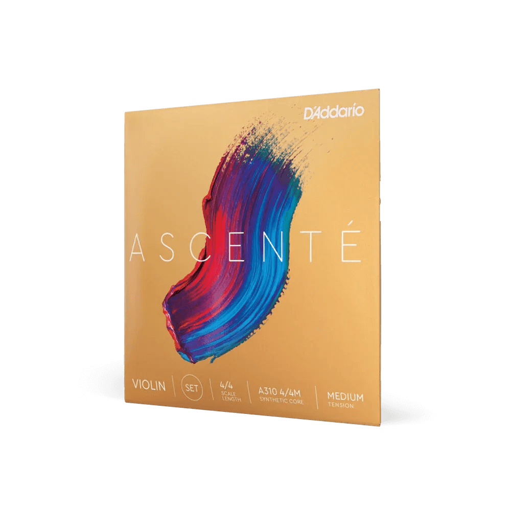 Violin - Ascente Strings