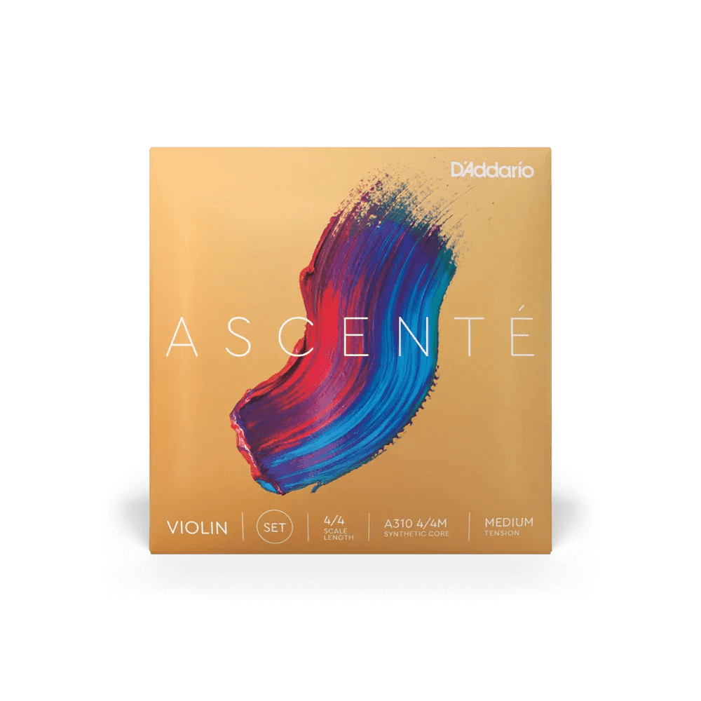 Violin - Ascente Strings
