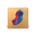 Violin - Ascente Strings