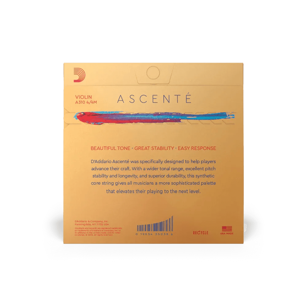 Violin - Ascente Strings