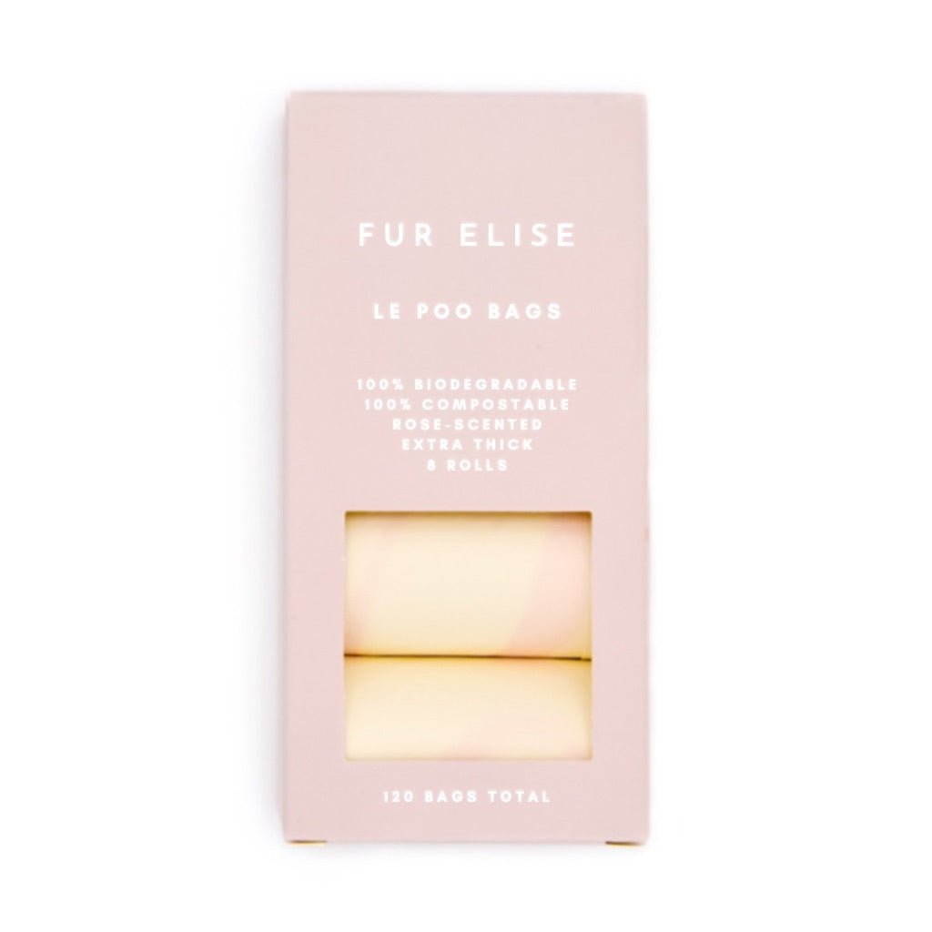 Fur Elise On-the-Go Walk Set - Bone