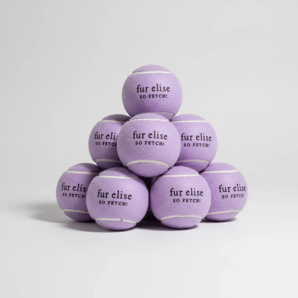 Fur Elise So Fetch! Tennis Ball Pack of 7 - Lilac