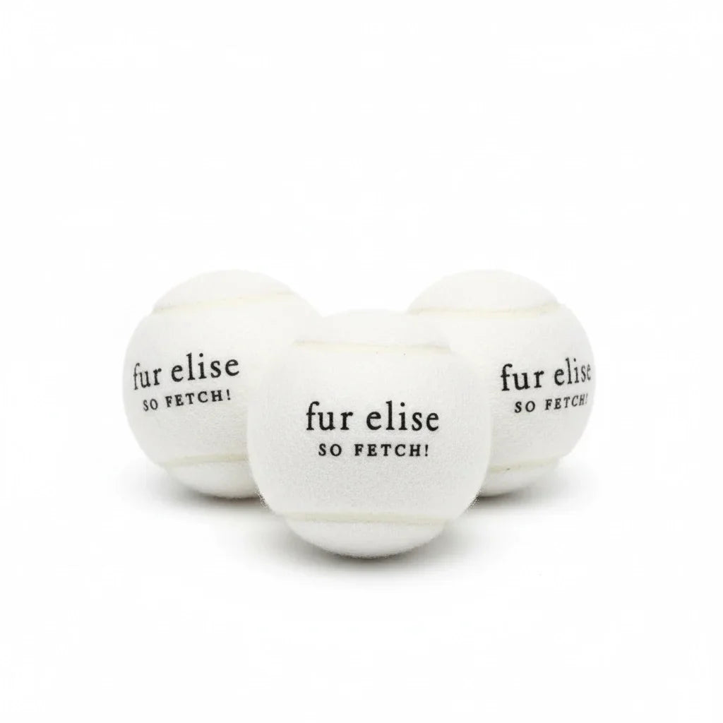 Fur Elise So Fetch! Tennis Ball Pack of 3 - Ivory